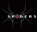 Spiders
