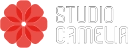 Studio Camelia